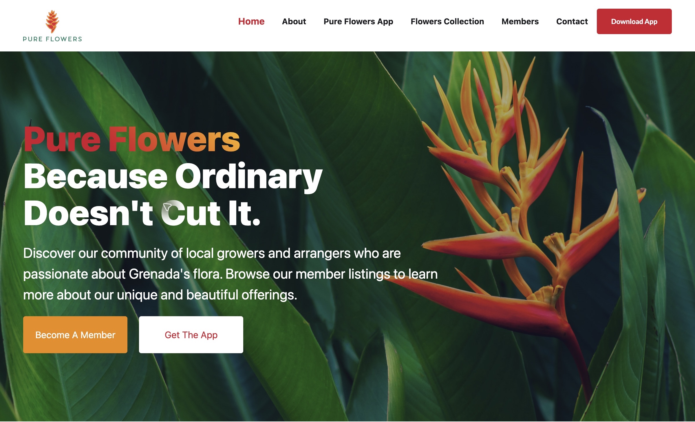 Pure Flowers website showing the tropical floral imagery, navigation, and introduction to Grenada’s growers and arrangers